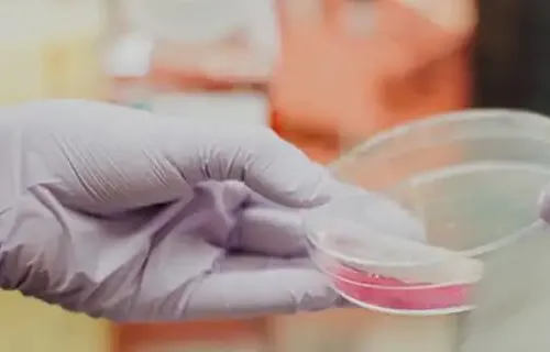 Farmacêutico bioquímico