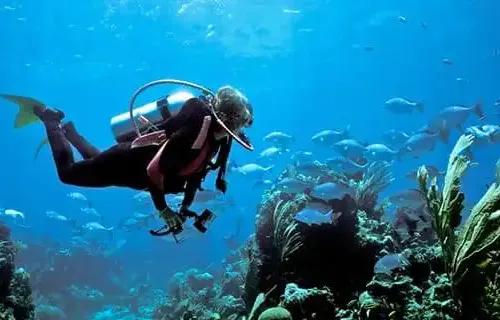 Oceanógrafo