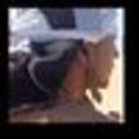 Imagem de perfil: Jailton Silva Imagem de perfil: Jailton Silva