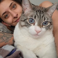 Imagem de perfil: Giovanna Bertachi