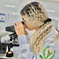 Imagem de perfil: Ana Rocha