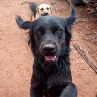 Imagem de perfil: Rafaela Macedo Imagem de perfil: Rafaela Macedo
