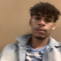 Imagem de perfil: Bruno Correia Imagem de perfil: Bruno Correia