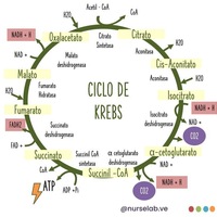Imagem de perfil: Pedro Santos
