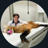 Imagem de perfil: Gabriel Esquarcini