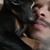 Imagem de perfil: Matheus Rocha