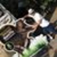 Imagem de perfil: Joberto Dias