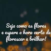 Imagem de perfil: Giovana Cruz