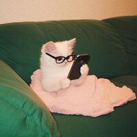 Imagem de perfil: Thabata Marins Imagem de perfil: Thabata Marins