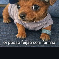 Imagem de perfil: Ane Carol