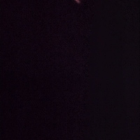 Imagem de perfil: Ianne Pontes