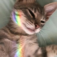 Imagem de perfil: Luana Flores