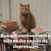 Usuário Usuário